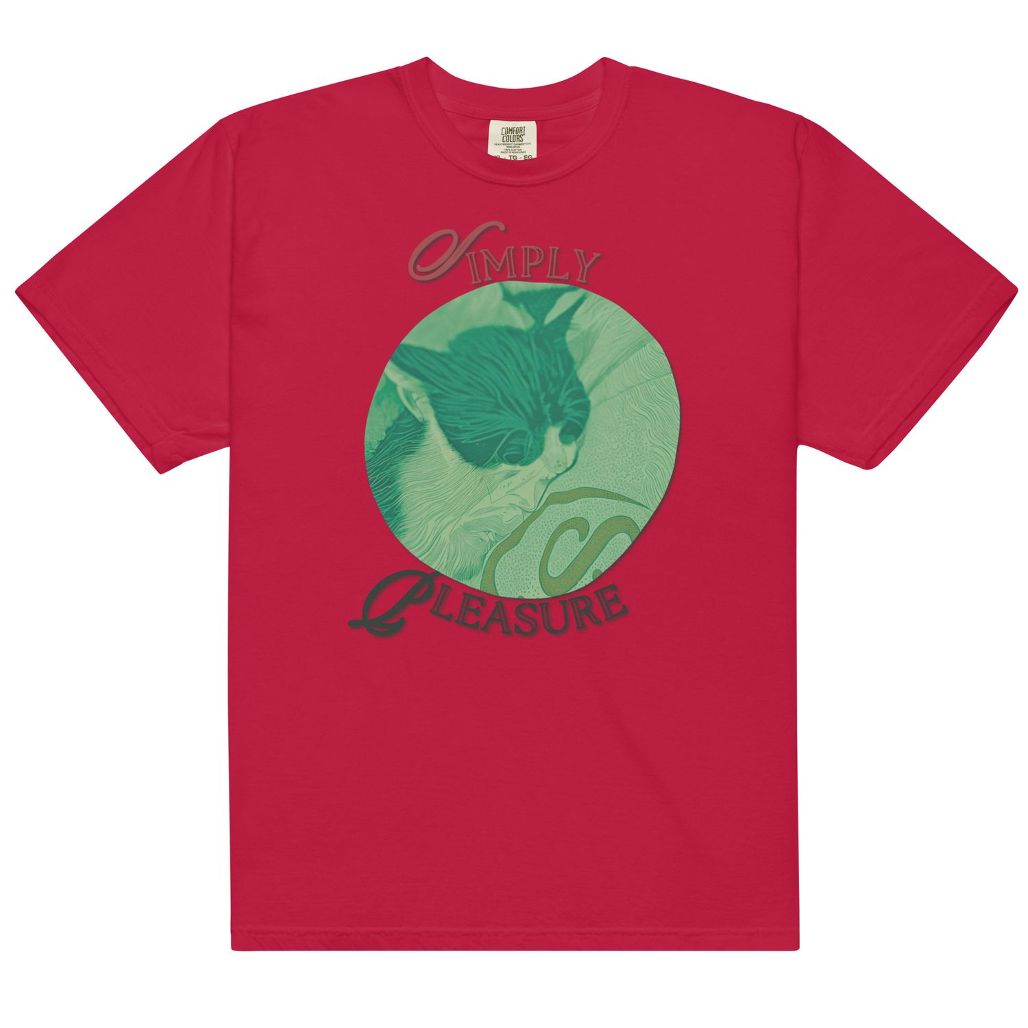 Simply Pleasure heavyweight t-shirt