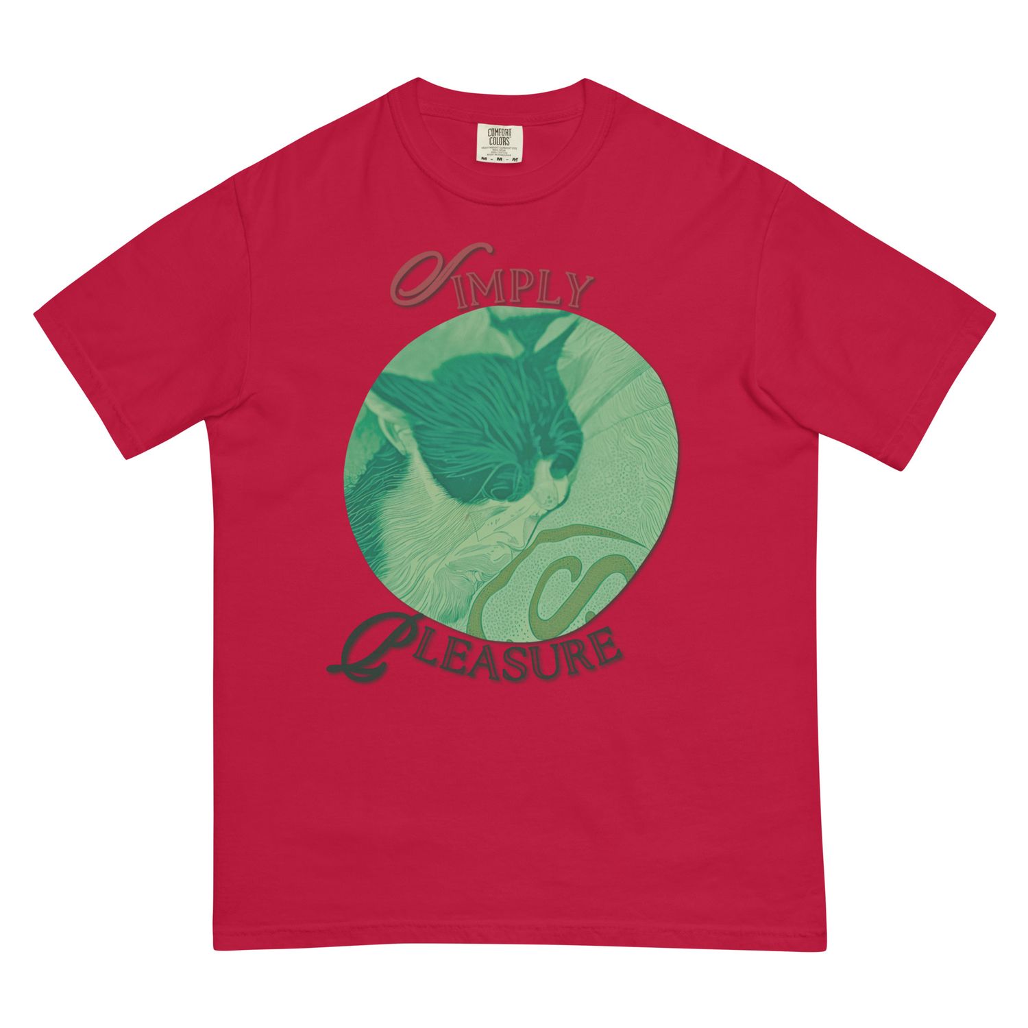 Simply Pleasure heavyweight t-shirt