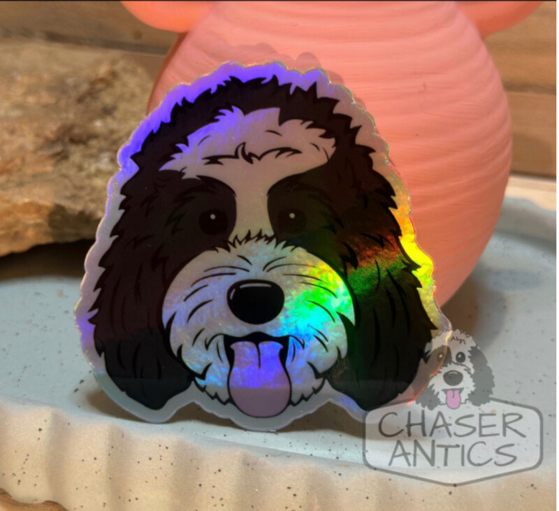 Doodle Sticker | 3 inches | #20 | Holographic