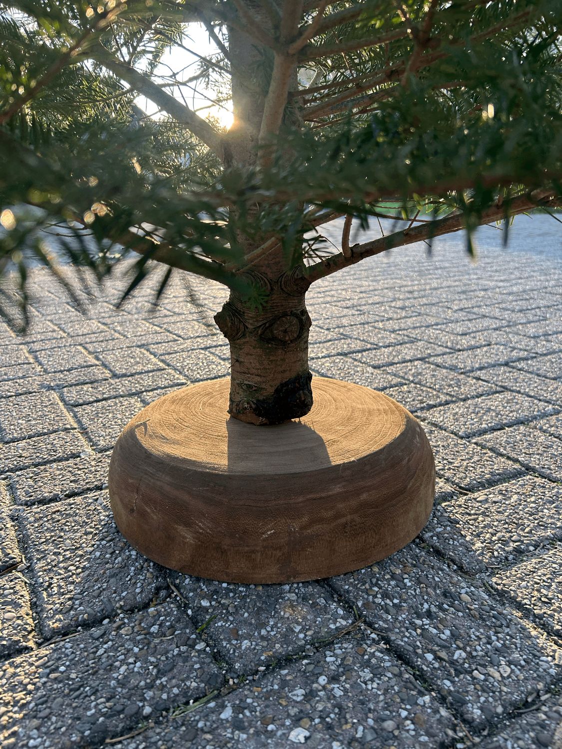 Easyfix Pot