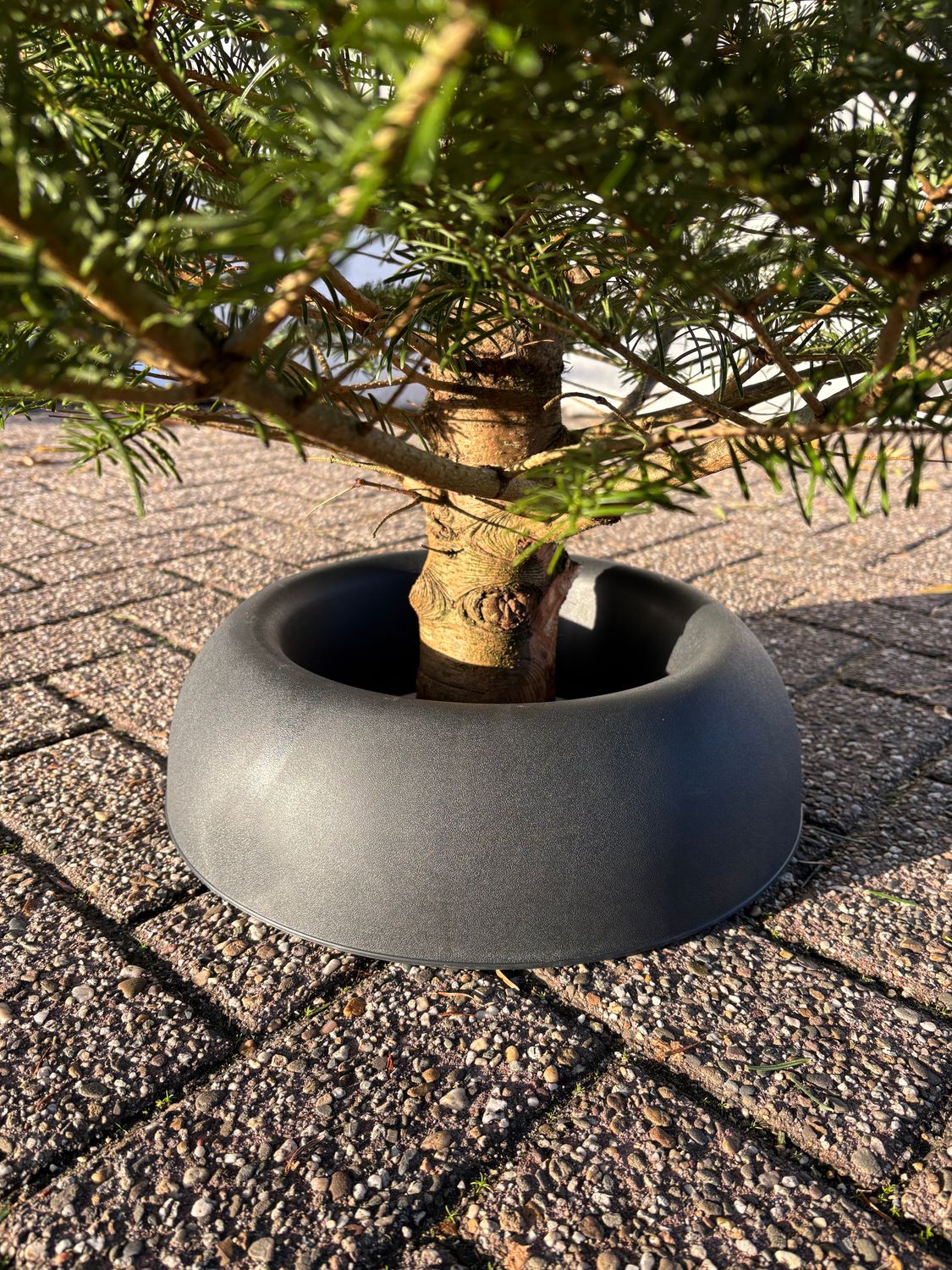 Easyfix Pot