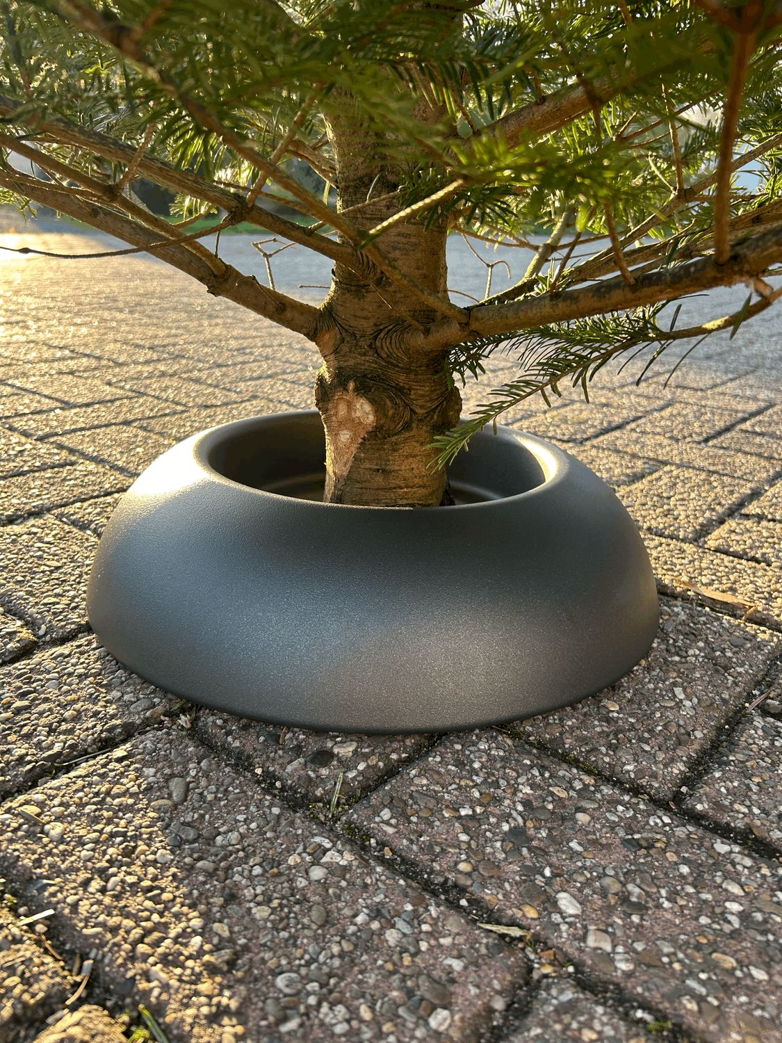 Easyfix Pot