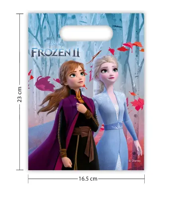 Sac cadeaux anniversaire la Reine des Neiges