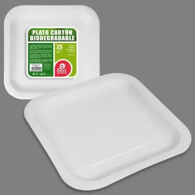 Assiette biodégradables carré 23cm par 25