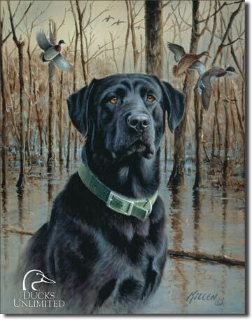 DU - Great Retrievers