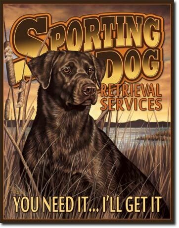 Sporting Dog Services