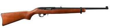 RUGER 10/22 Carbine rifle