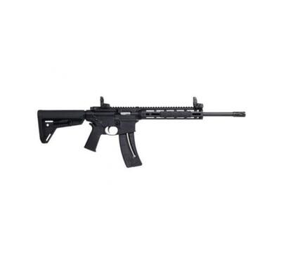 Smith & Wesson M&P 15-22 SPORT with Magpul open sights