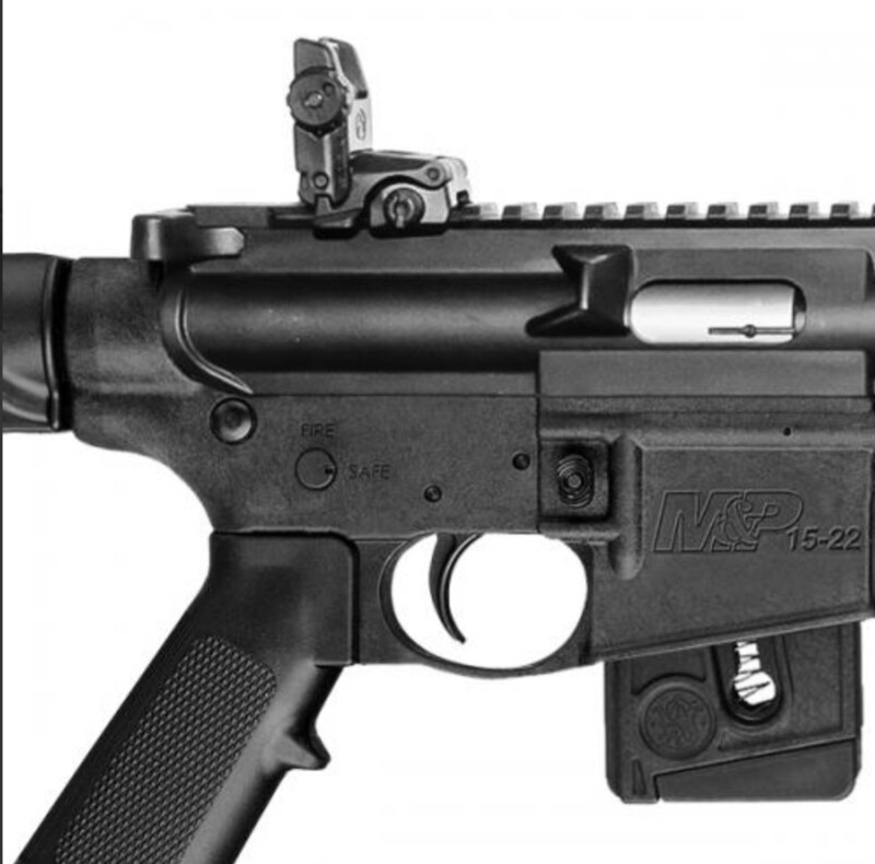 Smith &amp; Wesson M&amp;P 15-22 SPORT with Magpul open sights