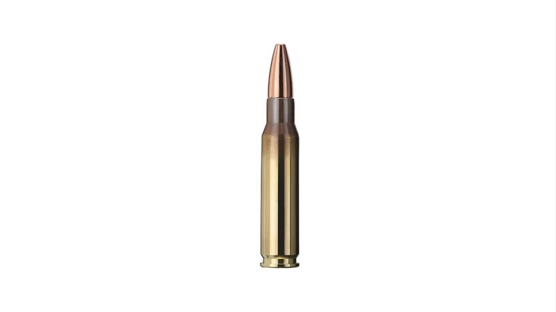 GECO .308 WIN Plus 170GR