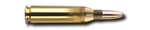 GECO TEILMANTEL .243 Win  6,8 g / 105 gr