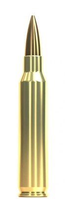 SELLIER &amp; BELLOT PRECISION RIFLE AMMUNITION  223 Rem. OTM HPBT 3,36g / 52grs
