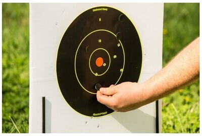 Birchwood Casey ShootNC® 8 Inch Bull's-Eye, 6 Targets - 72 Pasters