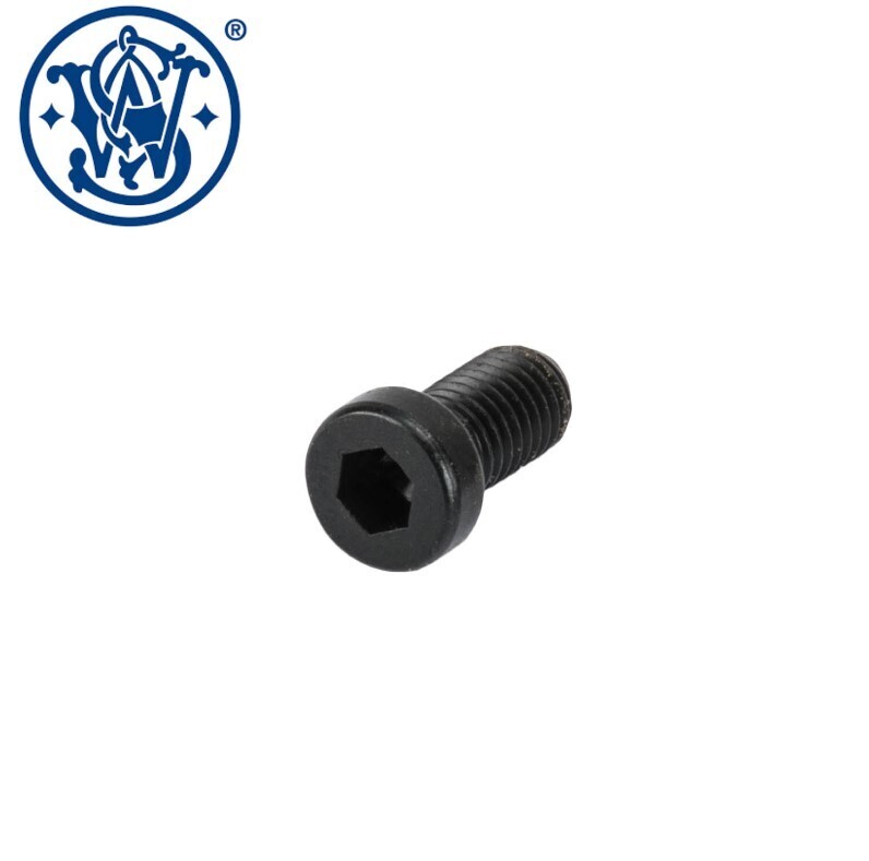 SW22 Victory Front Sight Screw