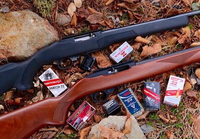 Rimfire Rifles