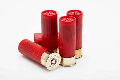 Shotgun Shells