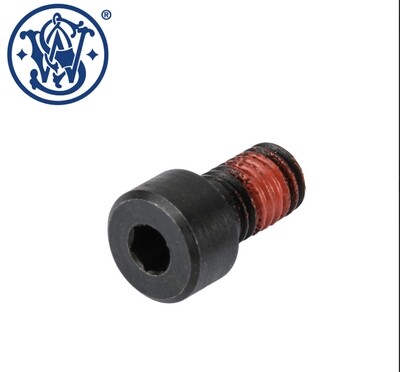 Smith &amp; Wesson SW22 Victory Takedown Screw
