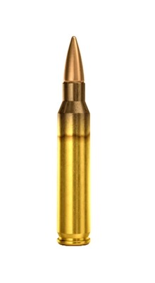 Magtech Tactical .223 REM 55GR FMJ