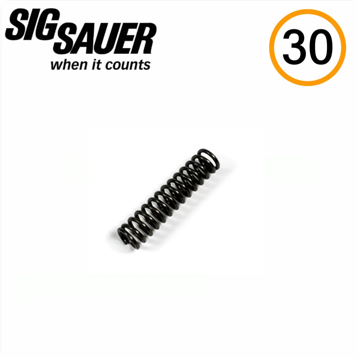 SIG Sauer P322 Manual Safety Detent Spring