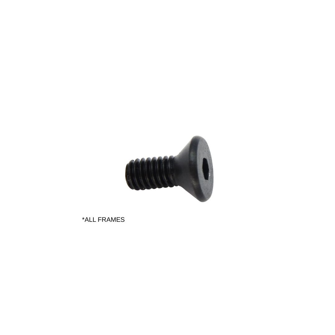 Ruger Mark IV Safety Screw – 10.9 Grade Steel (All Models)