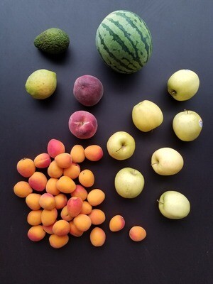 Fruité 2