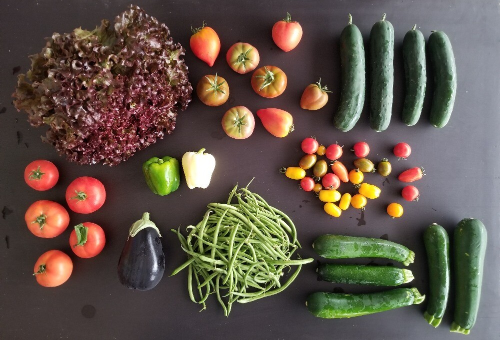 Panier de légumes familial