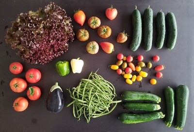 Panier de légumes familial