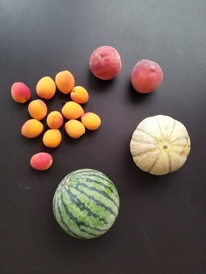 Fruité 1