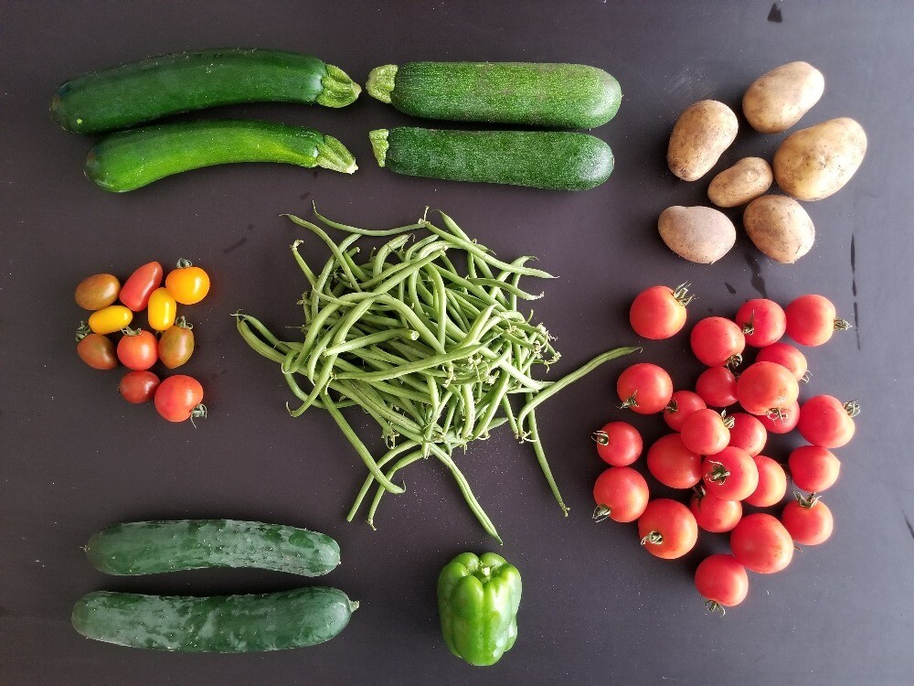 Panier de légumes simple