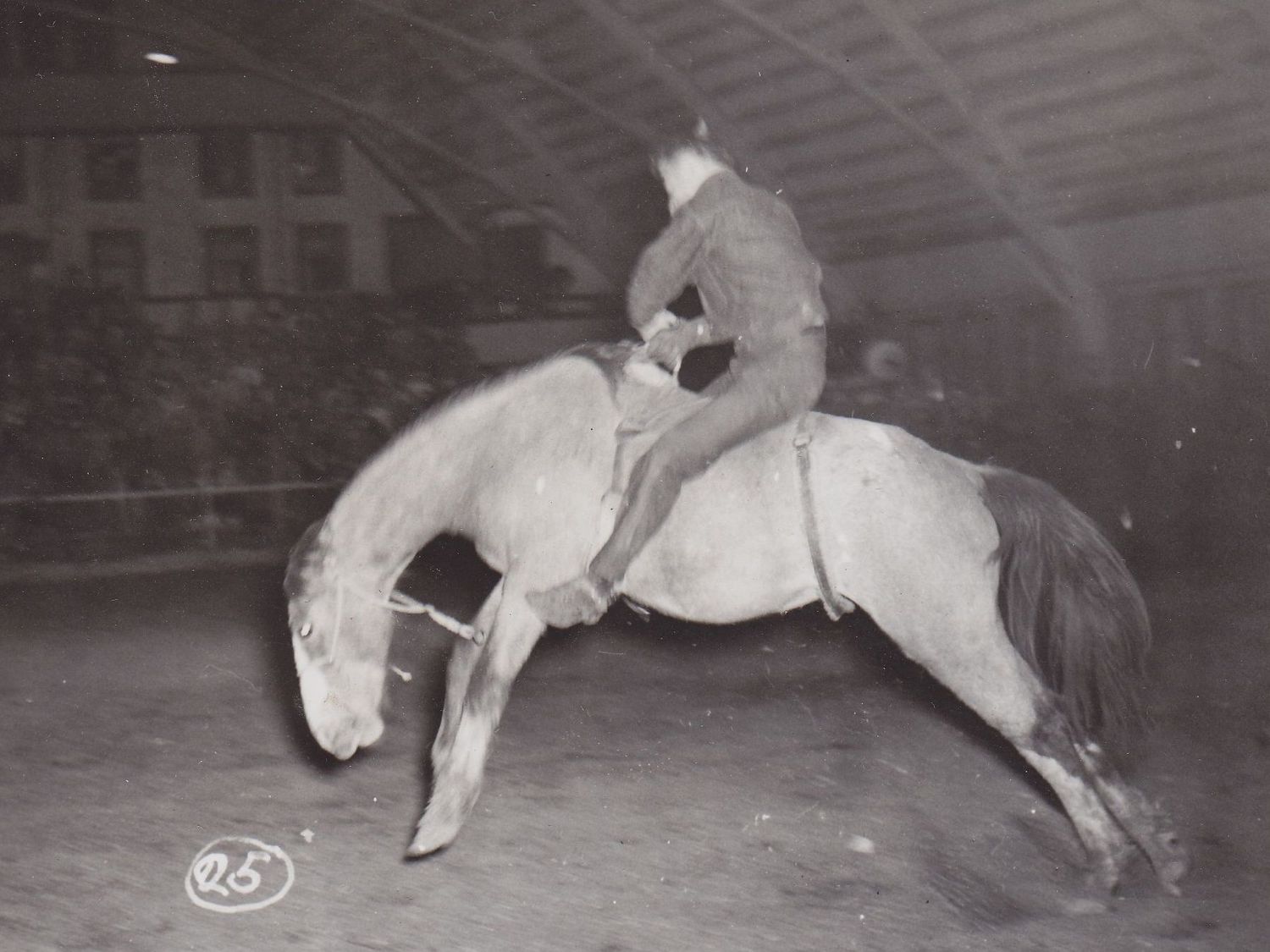 A Cowboy with no Horse