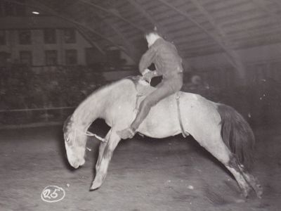 A Cowboy with no Horse
