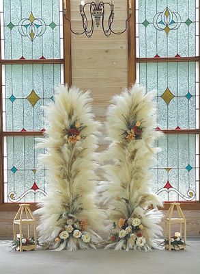 Rustic Romance Pampas Backdrops (Rental No Shipping)