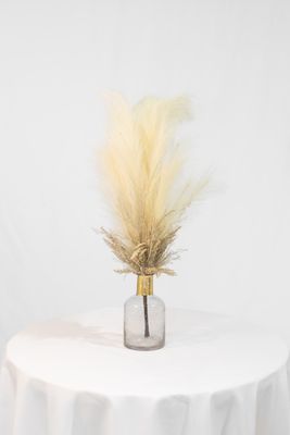 Blushing for You Gold Neck Cream Pampas Vase (Rental)