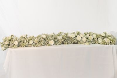 Blushing for You Baby's Breath Backdrop (Rental No Shipping)