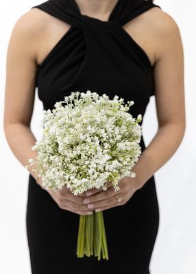 Universal Baby's Breath Bridesmaid Bouquet (Rental)