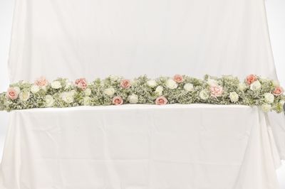 Pretty in Pink Baby's Breath Backdrop (Rental No Shipping)