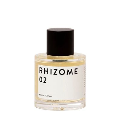 RHIZOME 02