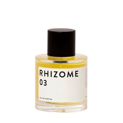 RHIZOME 3