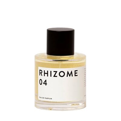 RHIZOME 4