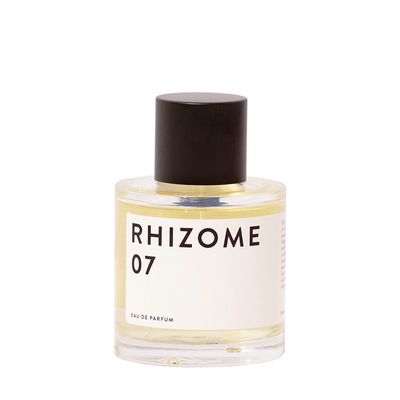 RHIZOME 7