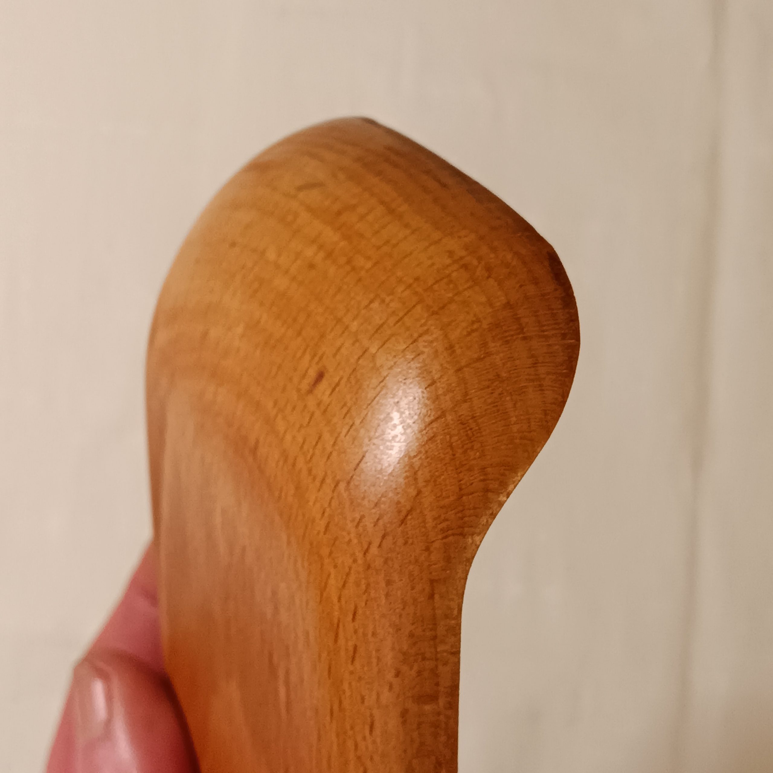 Gyubera/lengua de buey ancha | VETA