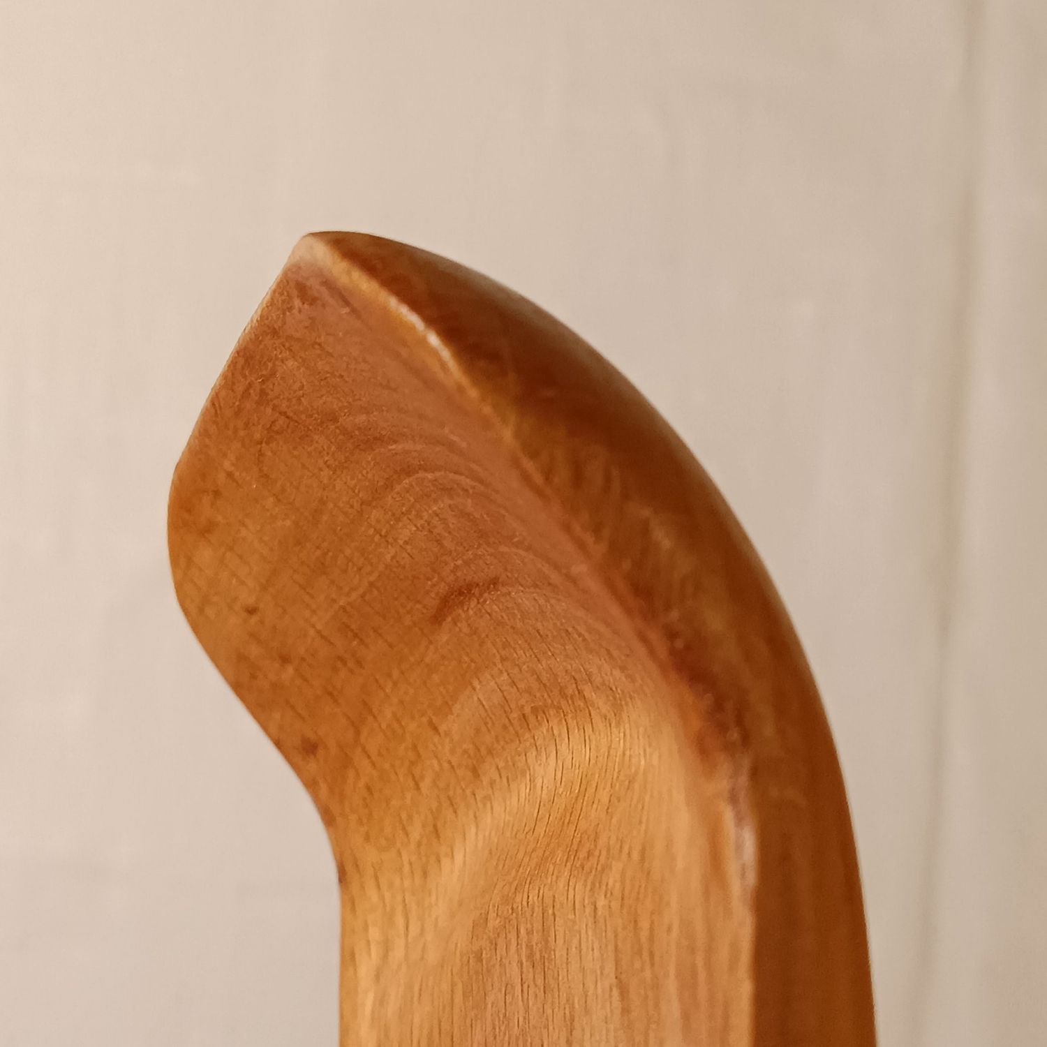 Gyubera/lengua de buey ancha | VETA