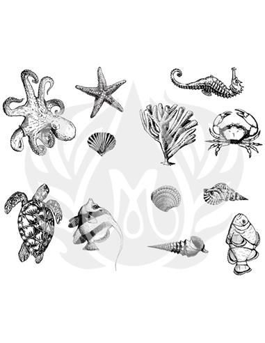 DSS102 Designer Silkscreen Sea Life