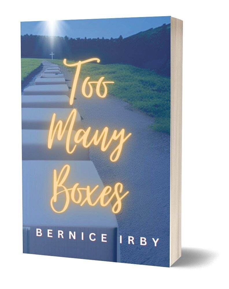 Too Many Boxes (Paperback)