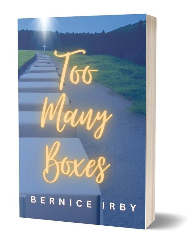 Too Many Boxes (Paperback)