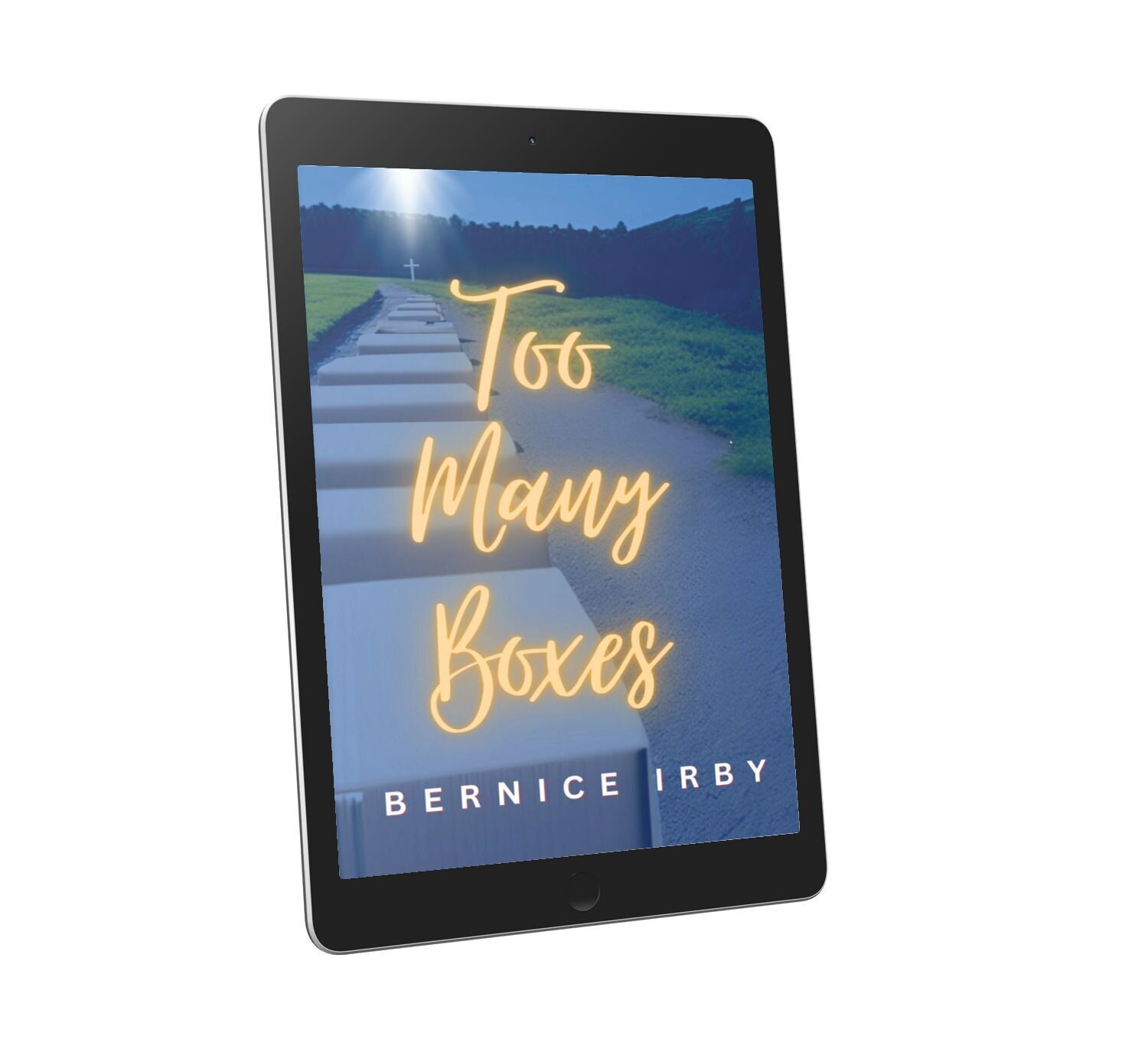 Too Many Boxes (E-Book- must have an e-book reader)