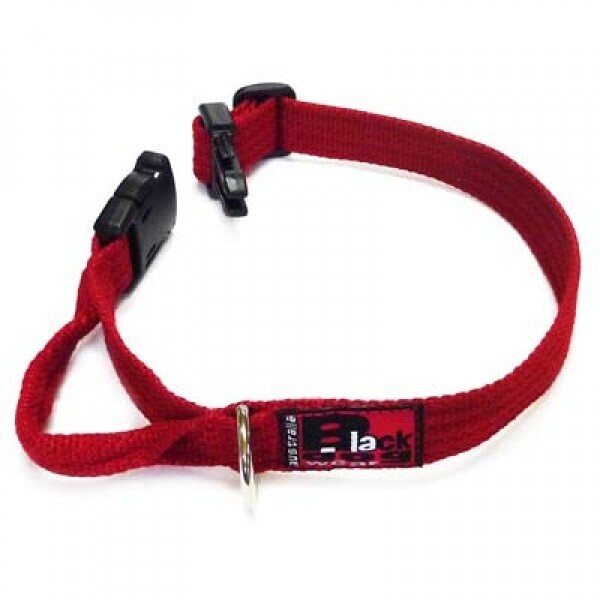 Black dog Flyball/Agility halsband Regular/Rood