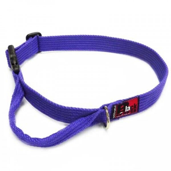 Black dog Flyball/Agility halsband Small/Paars
