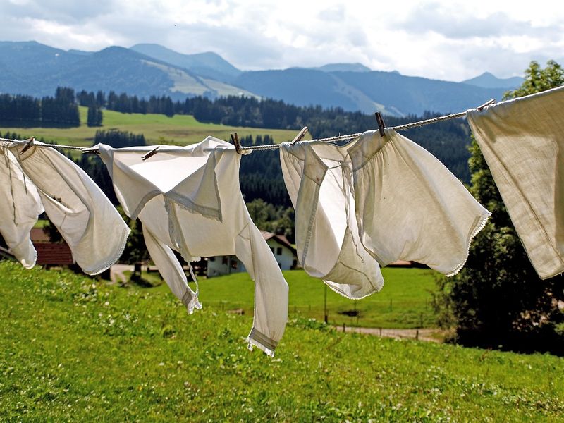 Laundry detergent sheets on reddit
