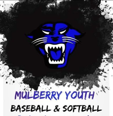 Mulberry Little League